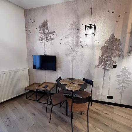 Appartement Coal Boutique L Center Iv Katowice