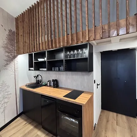 Appartement Coal Boutique L Center Iv *