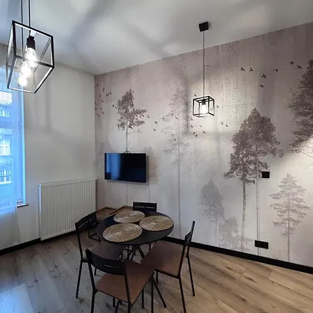 Appartement Coal Boutique L Center Iv Katowice