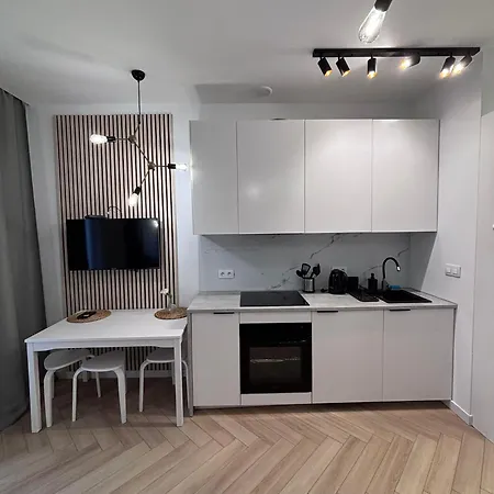 Coal Boutique L Center Iv Appartement Katowice
